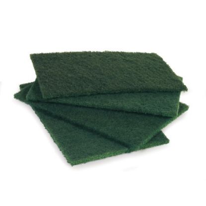 Picture of JANGRO PREMIUM NYLON SCOURER 225 X 150MM GREEN (10)