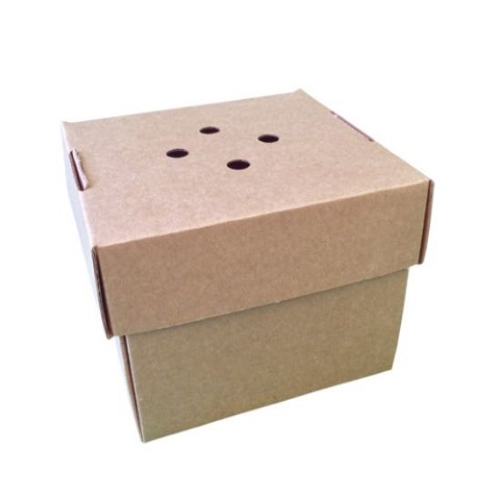 Picture of E-FLUTE PAPER BURGER BOX 120x120x102mm BROWN (100)