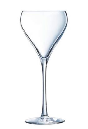 Picture of CASE OF 24 BRIO COCKTAIL COUPE 7.5oz 21cl