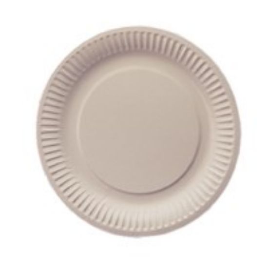 Picture of PAPER PLATE 7" (PACK OF 100)